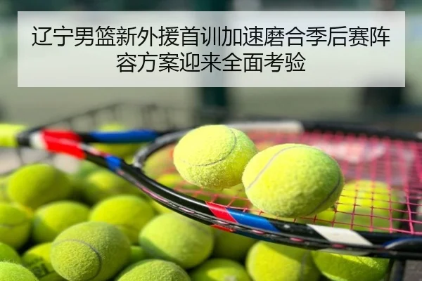 辽宁男篮新外援首训加速磨合季后赛阵容方案迎来全面考验